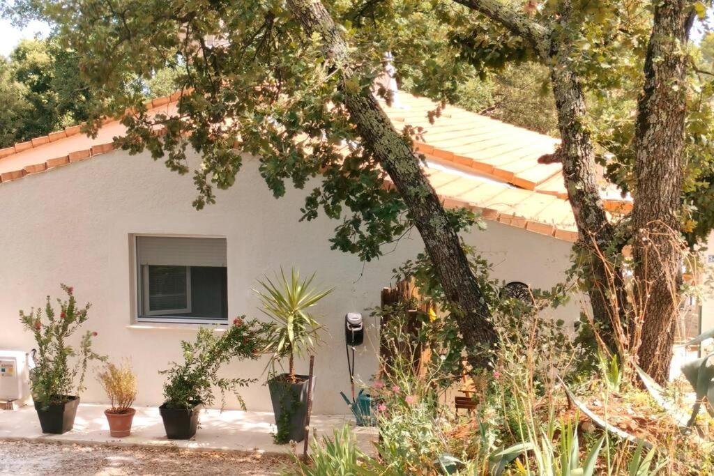 La Madoca Daire Flayosc Dış mekan fotoğraf